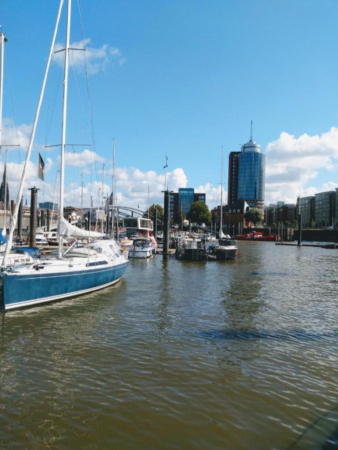 Ferienwohnung Elbe Diek Stelle Zewnętrze zdjęcie