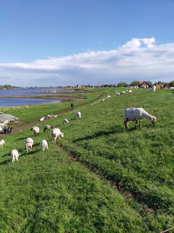 Ferienwohnung Elbe Diek Stelle Zewnętrze zdjęcie