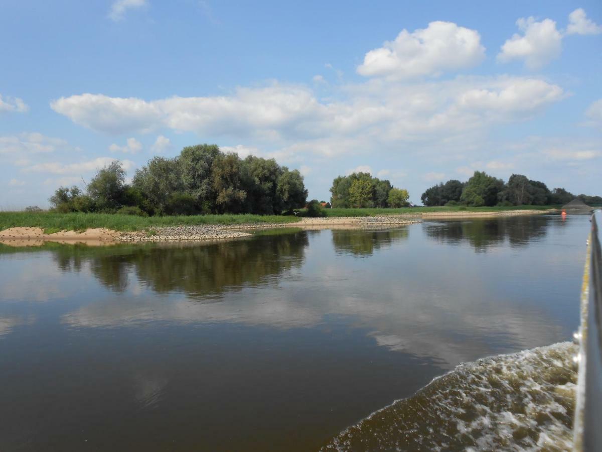 Ferienwohnung Elbe Diek Stelle Zewnętrze zdjęcie